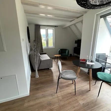 Neues Ferienhaus Kurort Gohrisch Exterior photo